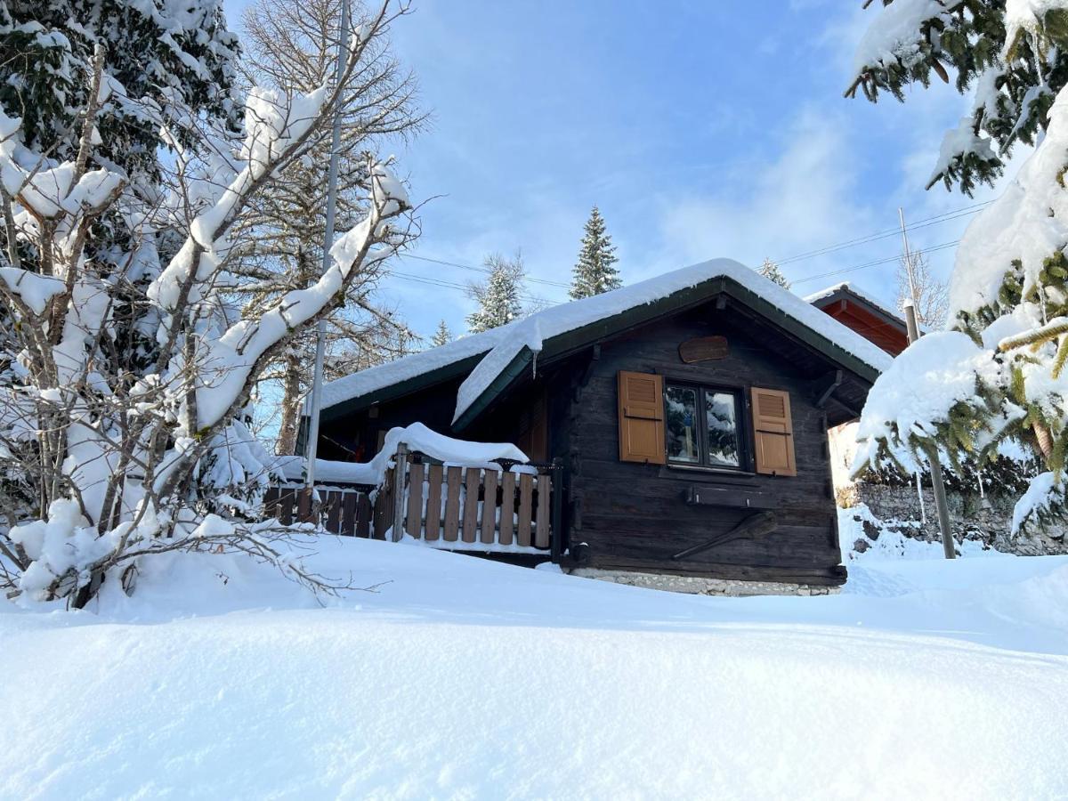Entire Cozy Chalet In St-Cergue - 30 Min From Geneva Saint-Cergue Exteriér fotografie
